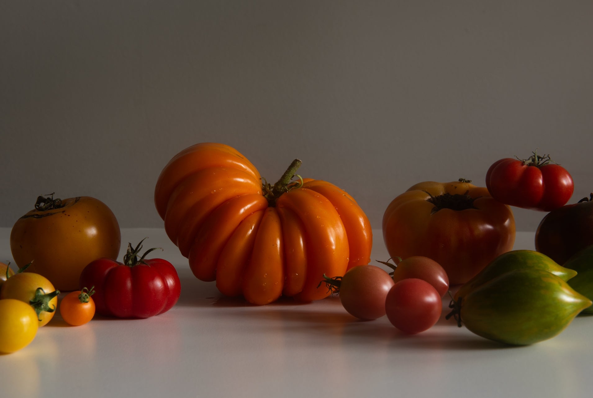 Tomato Still Life