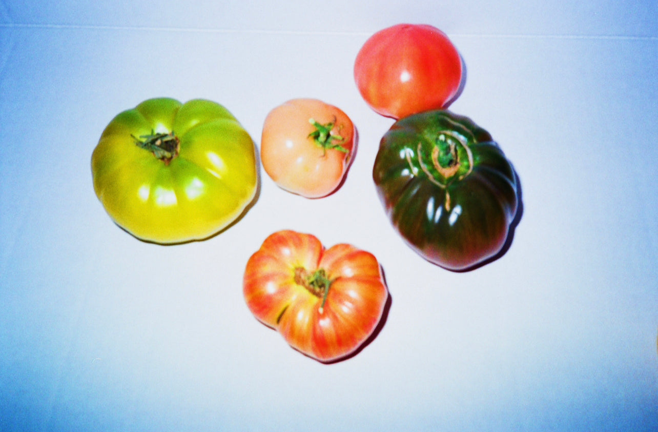 tomato portrait on film IV