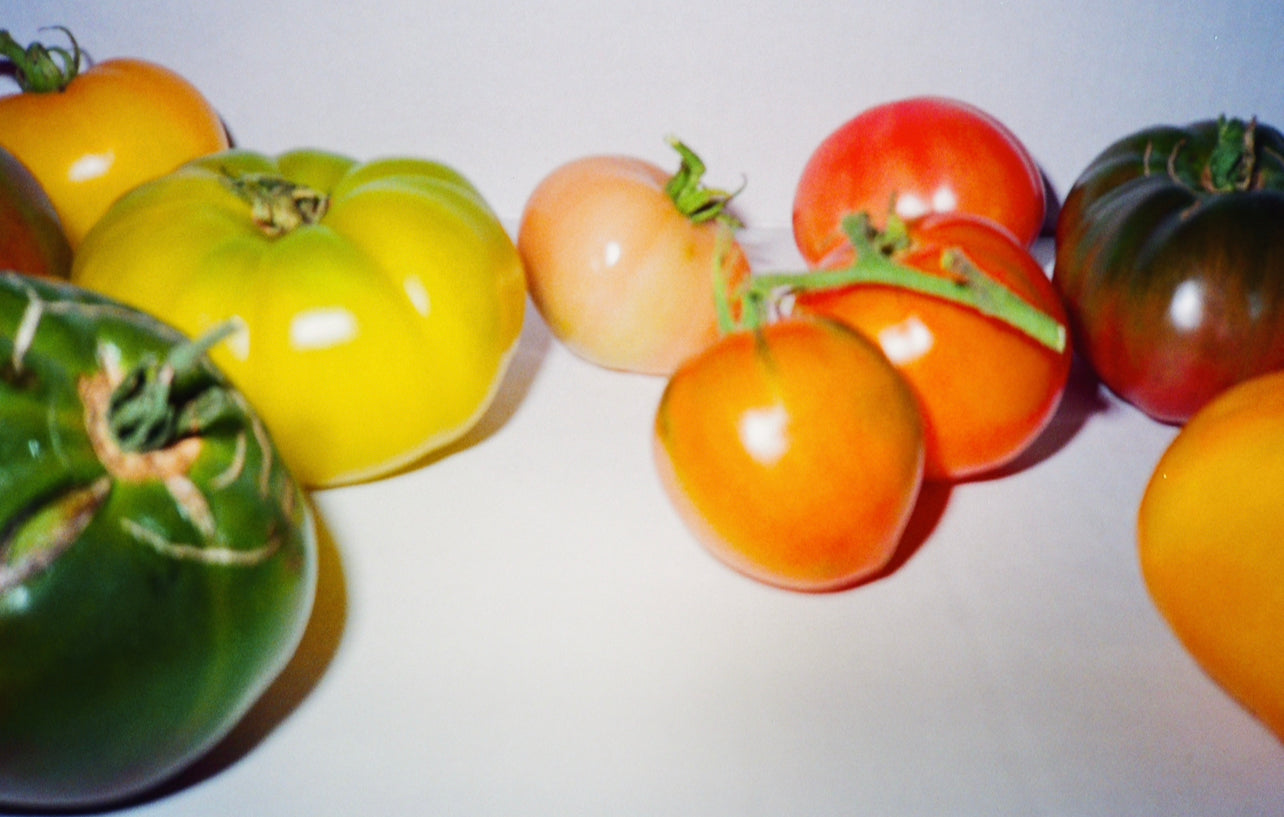 tomato portrait on film III