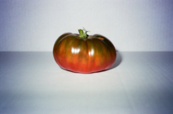 Tomato portrait on film II