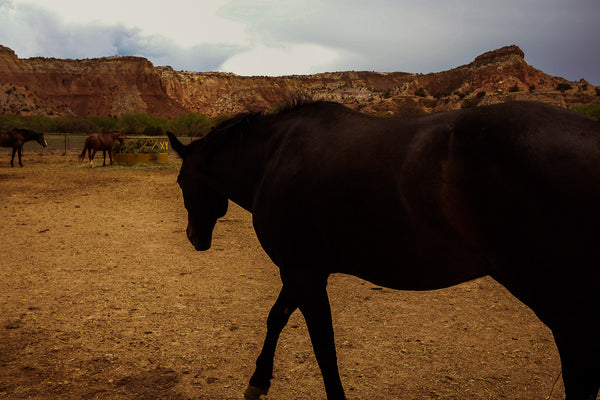 Ghost Ranch X