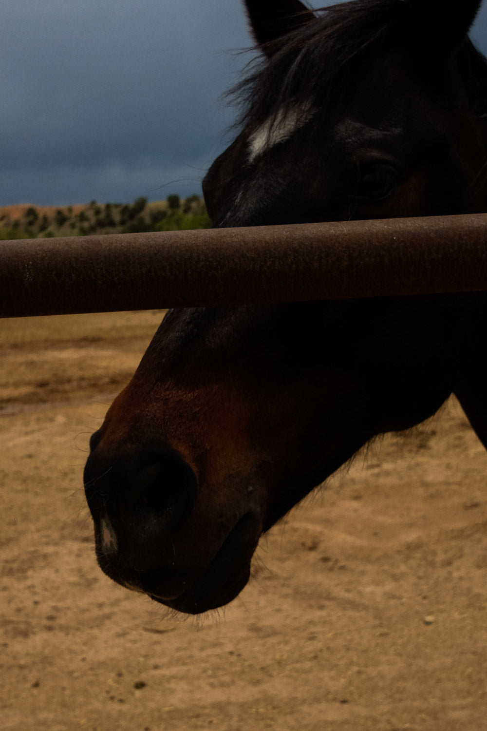 Ghost Ranch V