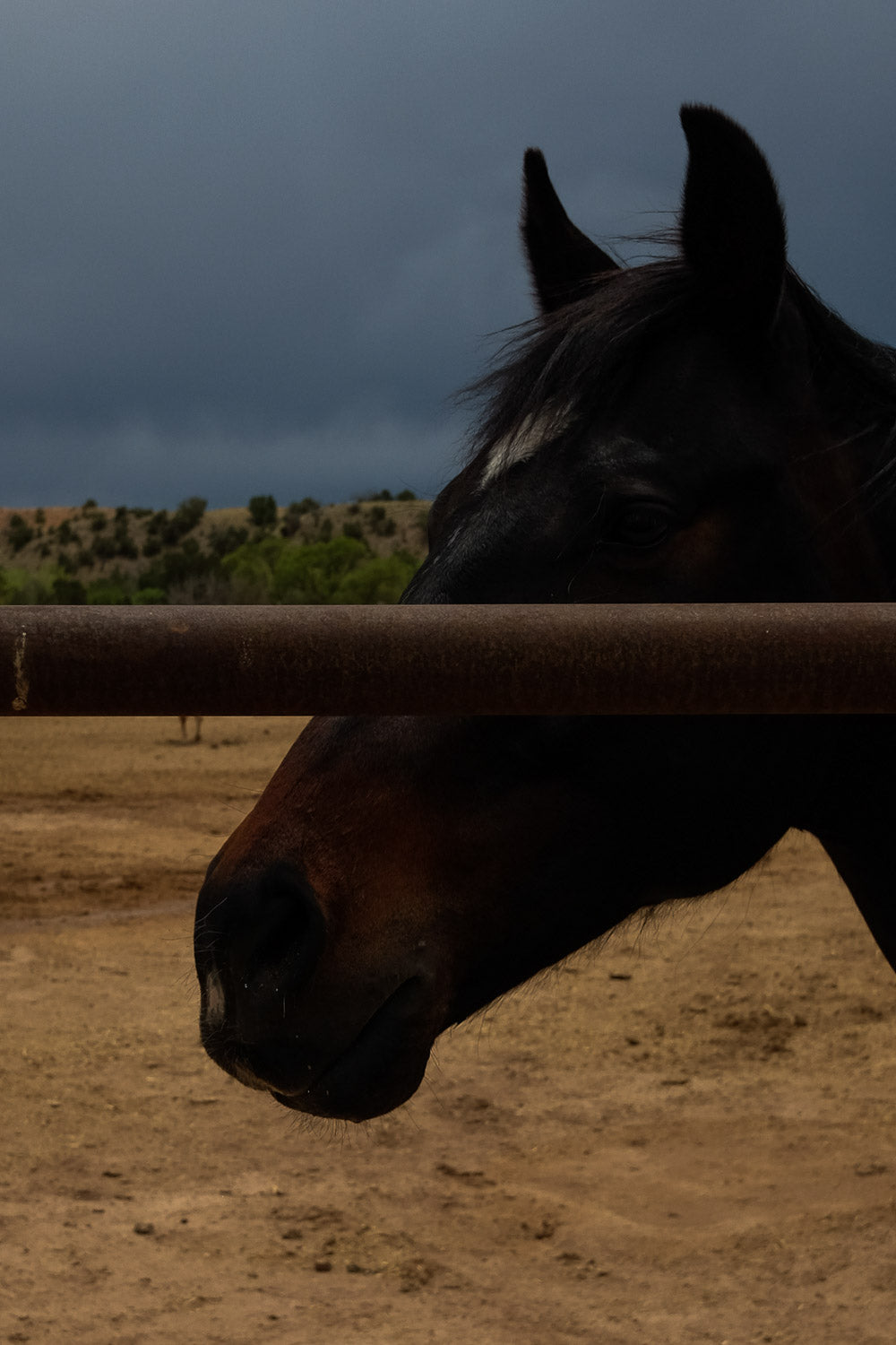 Ghost Ranch VI