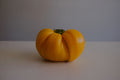 Tomato Portrait Still Life Photograph - yellow