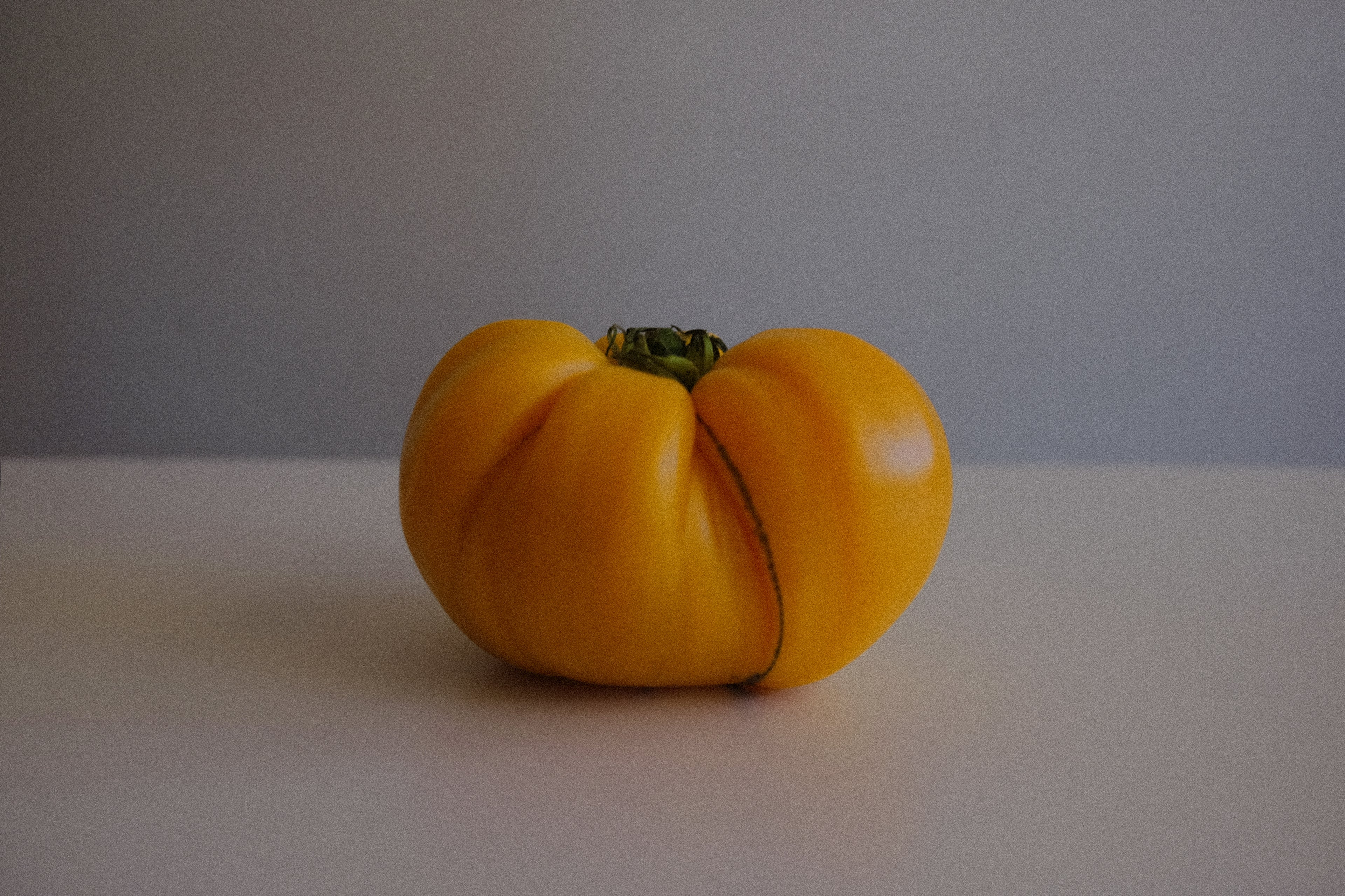 Tomato Portrait Still Life Photograph - yellow