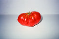 tomato portrait on film