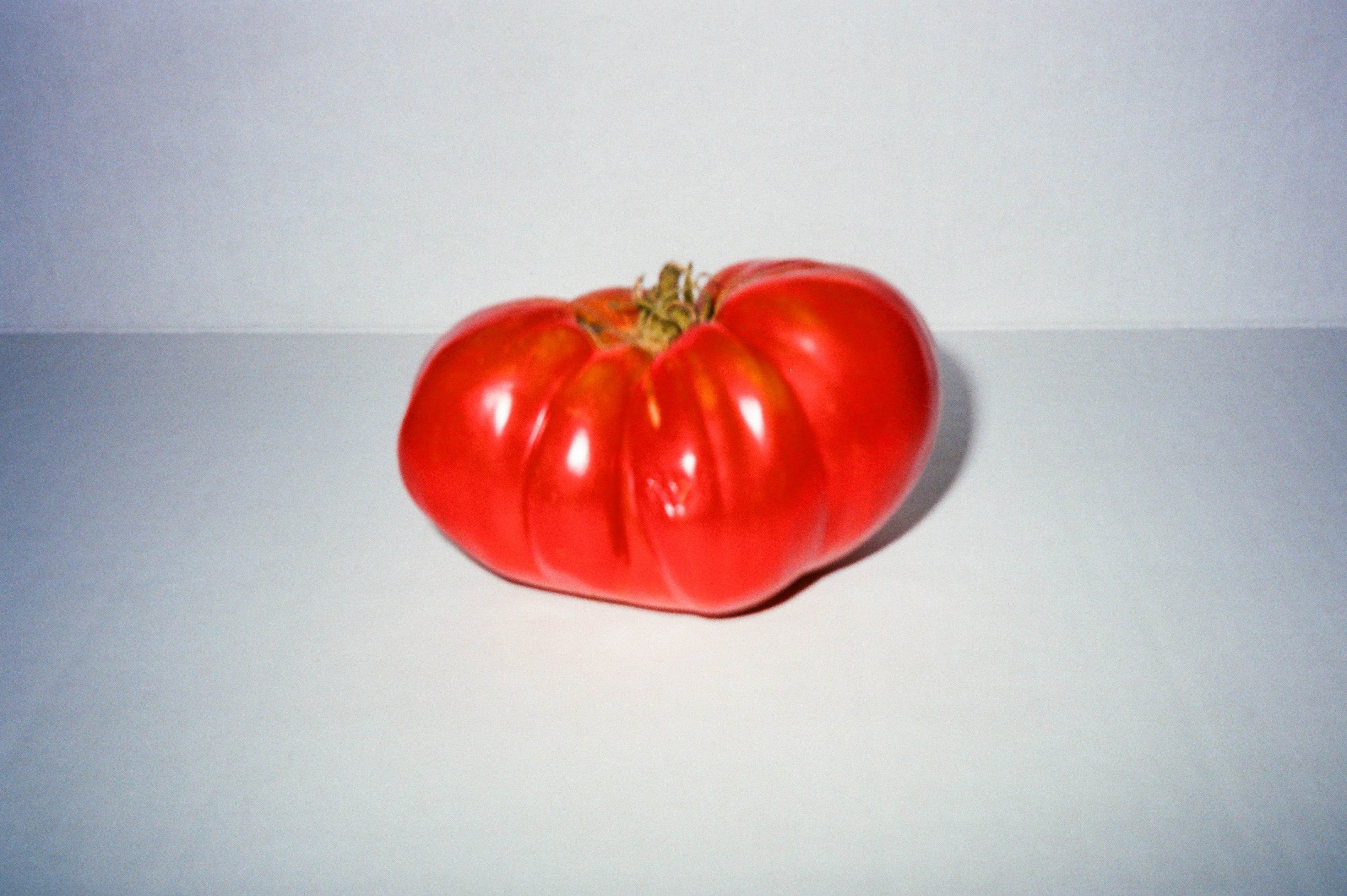 tomato portrait on film
