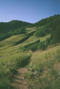 Summer mountain on film