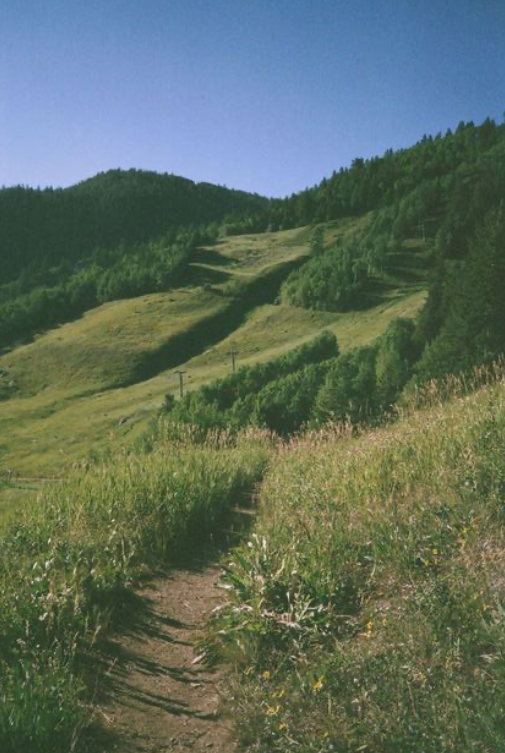 Summer mountain on film