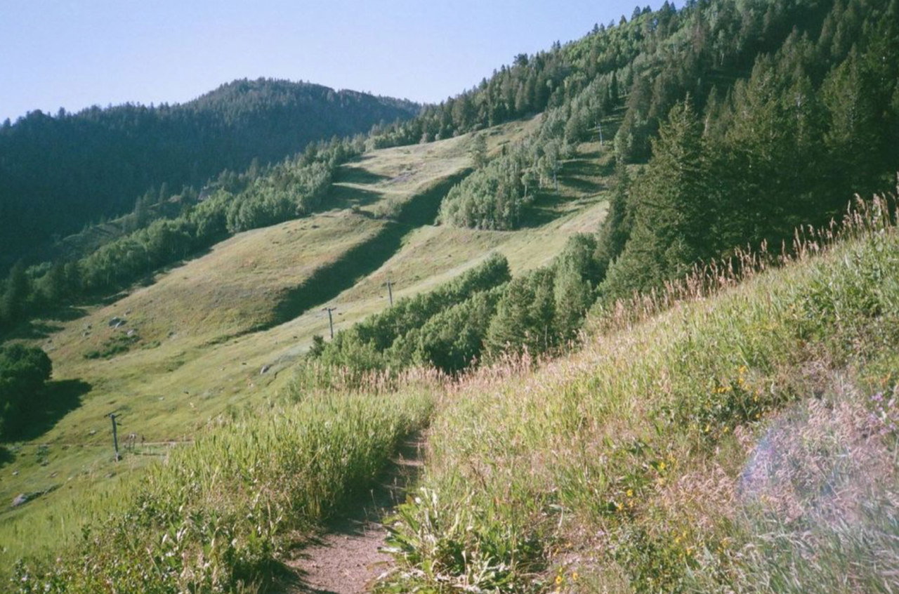 Switchback on film