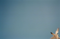 Gulls film 2