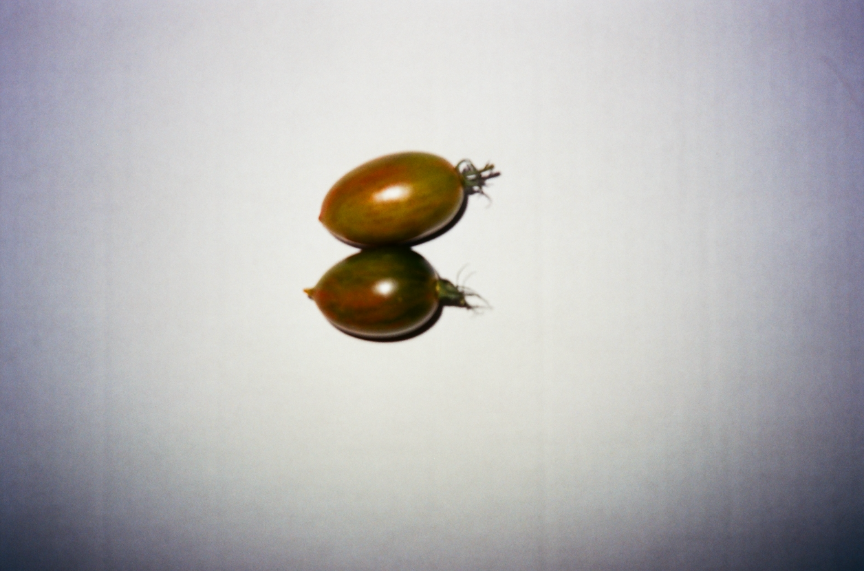tomato portrait on film vii