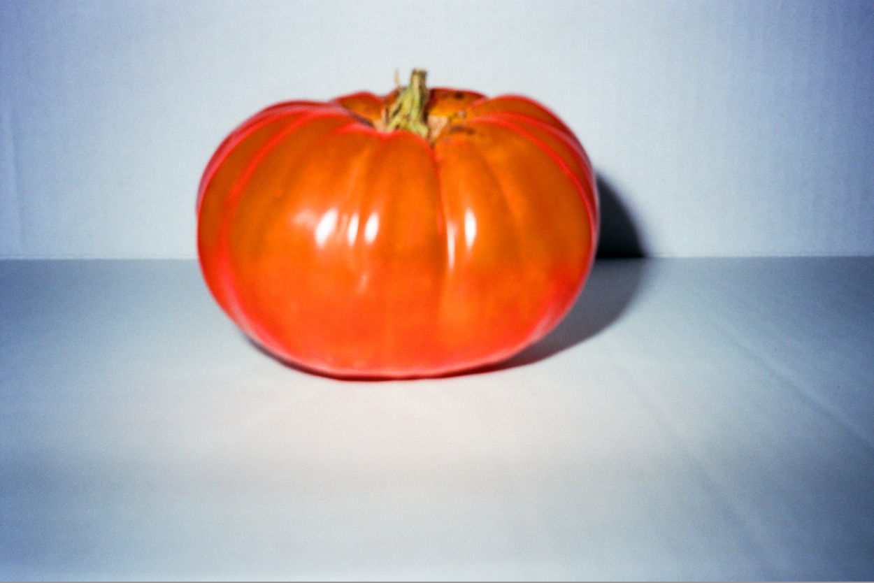 tomato portrait on film v