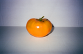 tomato portrait on film vi