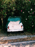 Fiats Forever