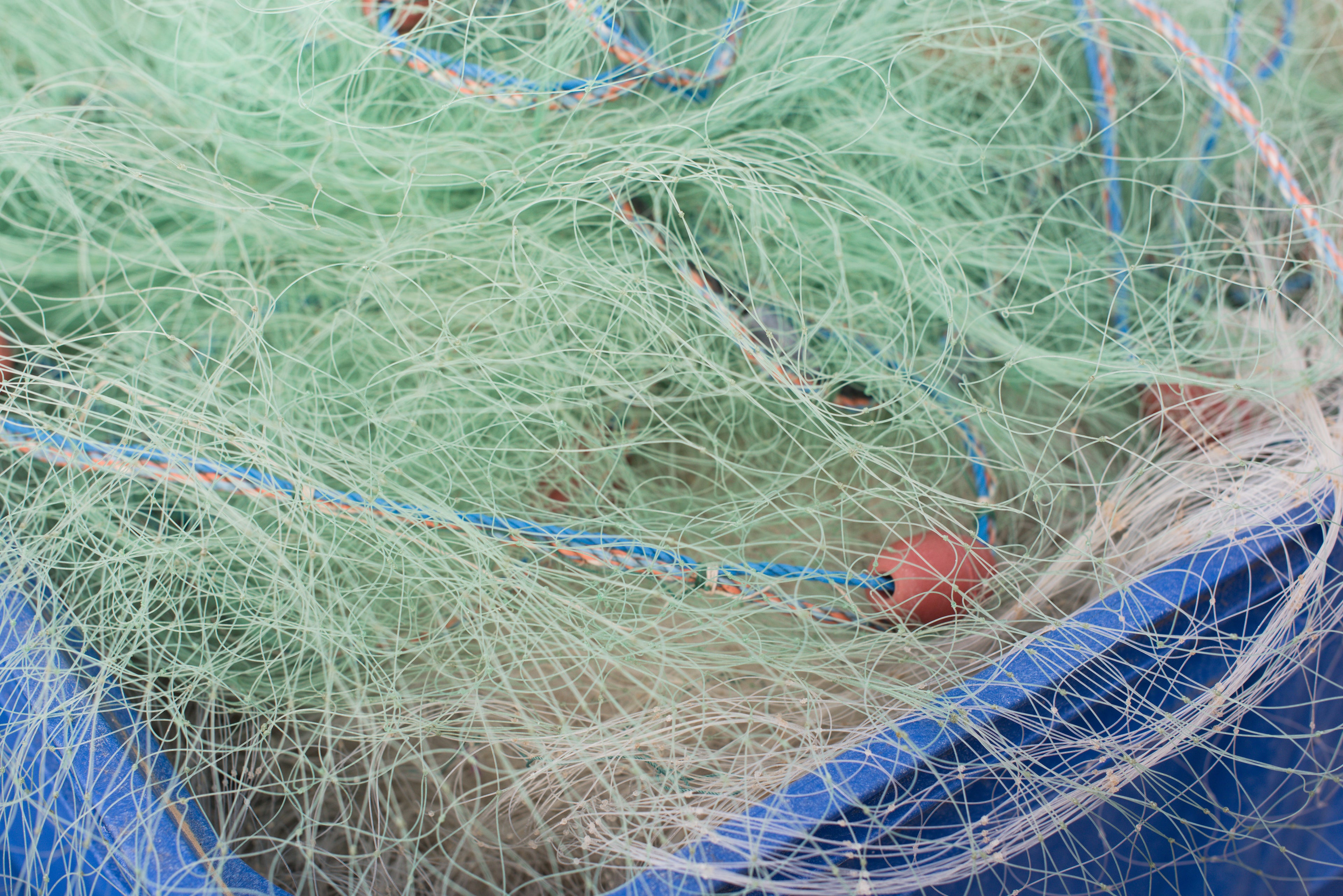 Blue Rope Green Net 2