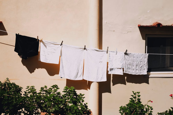 Italian Laundry 4