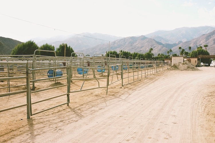 Corral