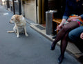 The French