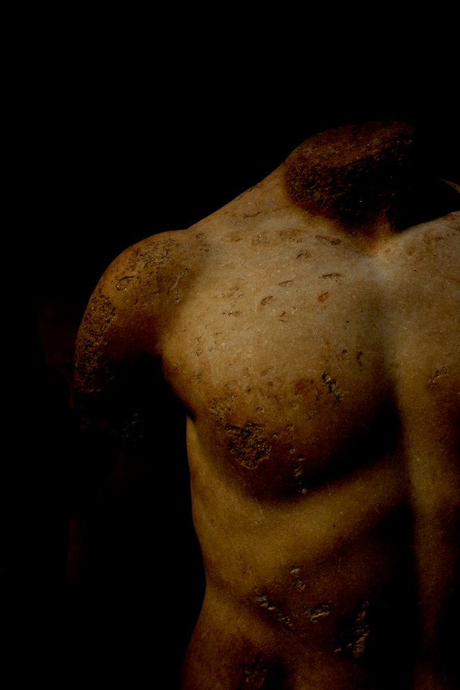 Torso