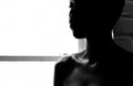 Window Light