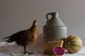 Chicken and Raddish