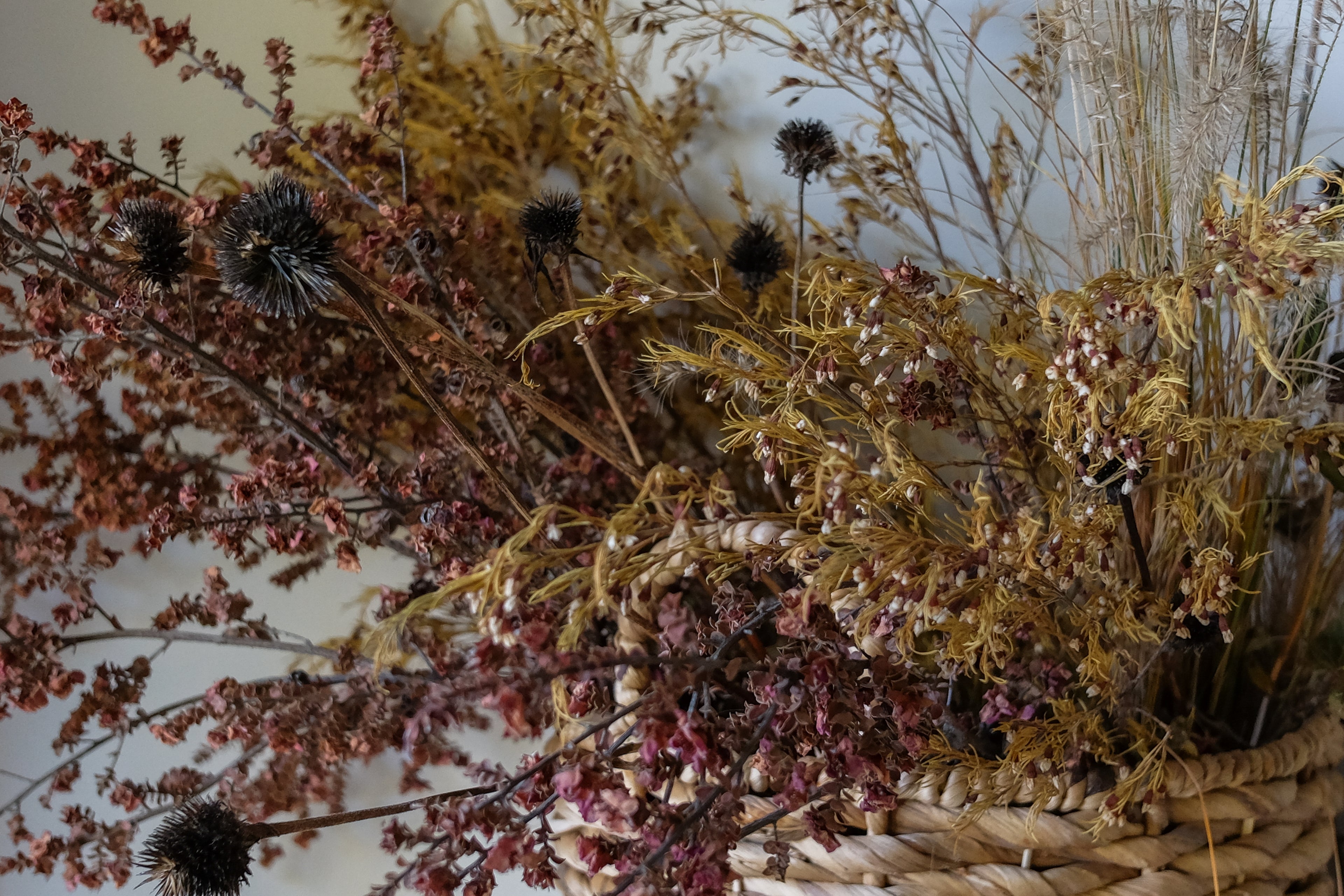 Dried Bouquet