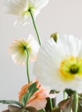 Flower Still Life 2