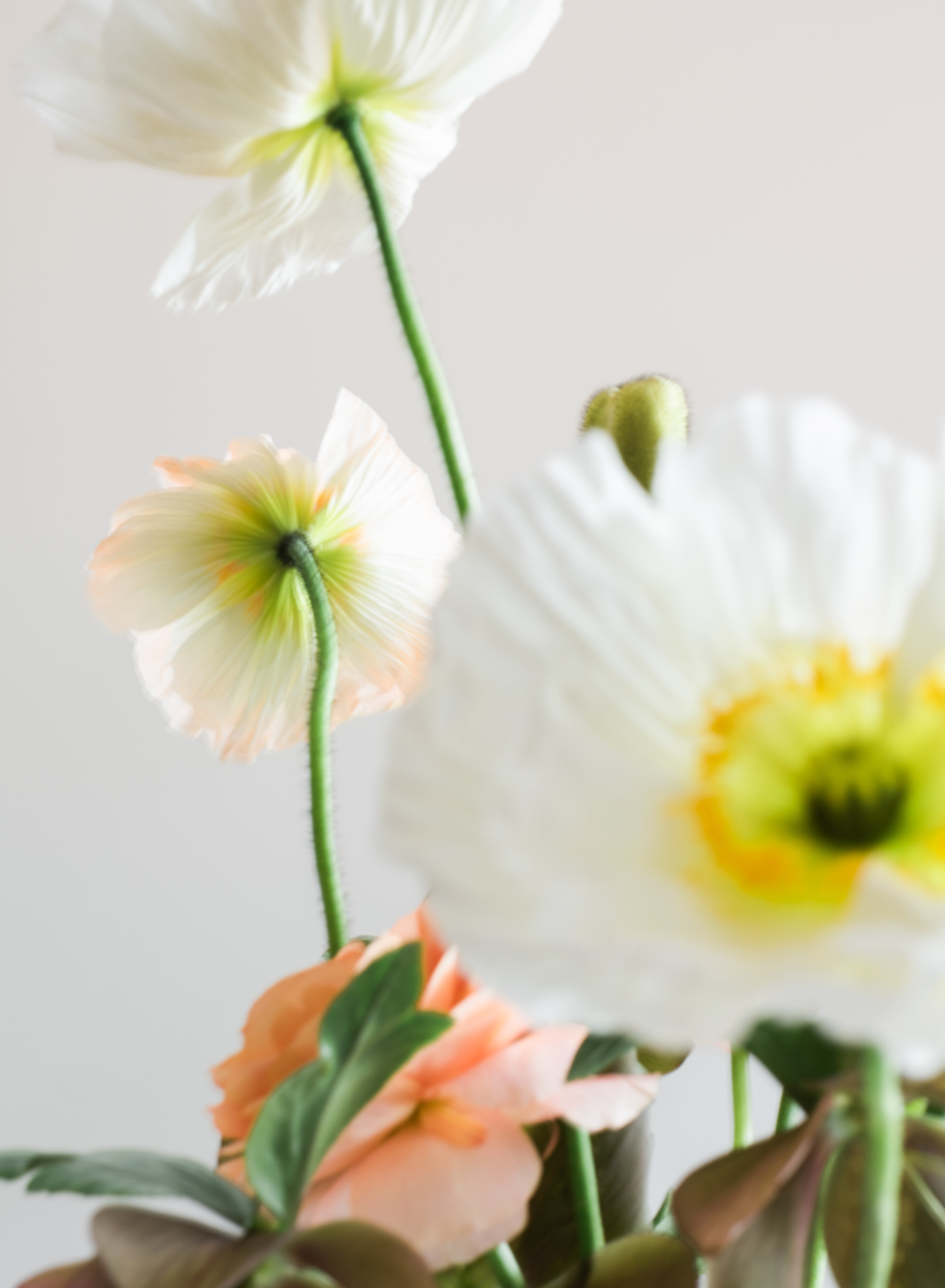 Flower Still Life 2
