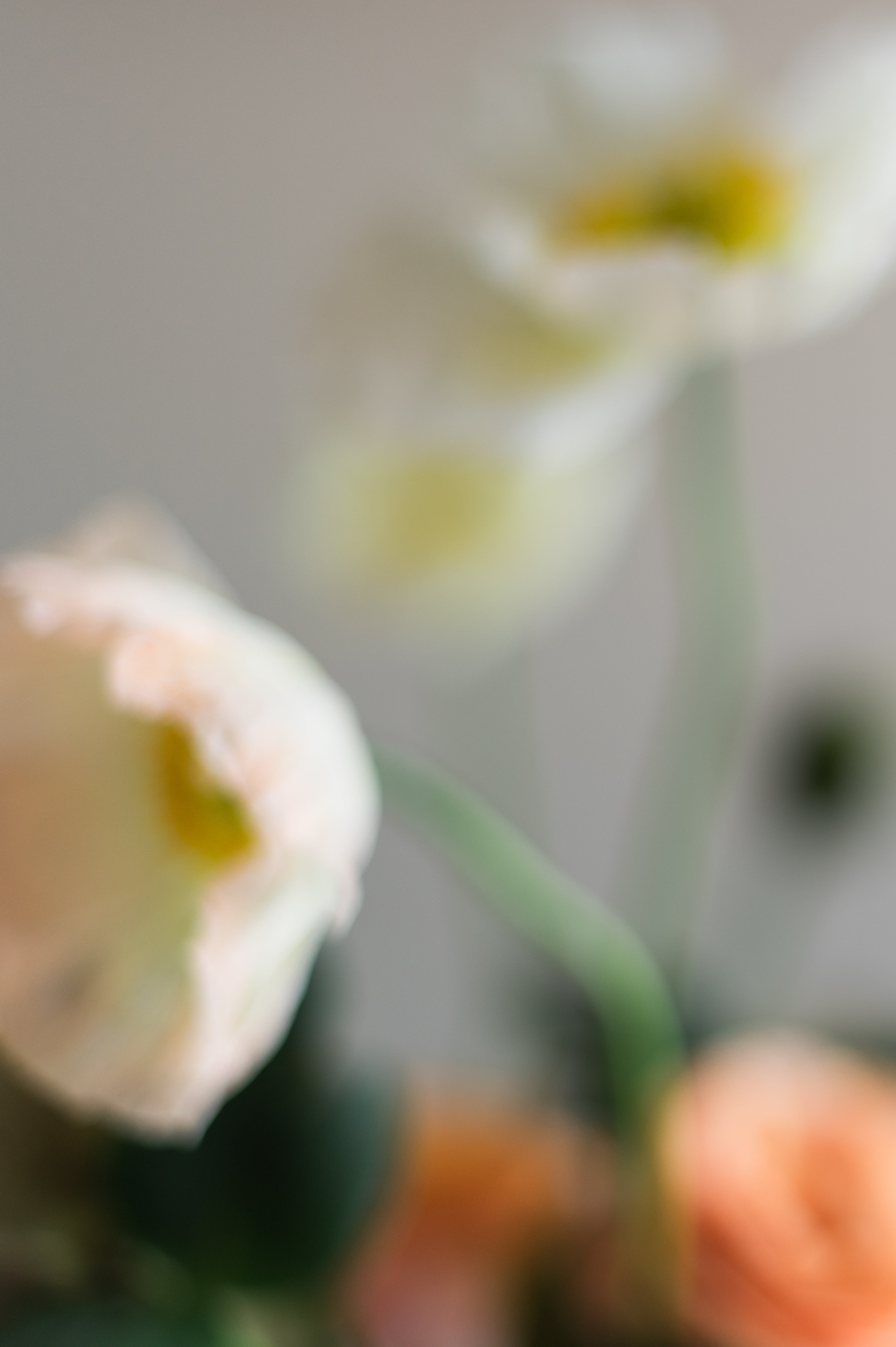 Flower Still Life 4