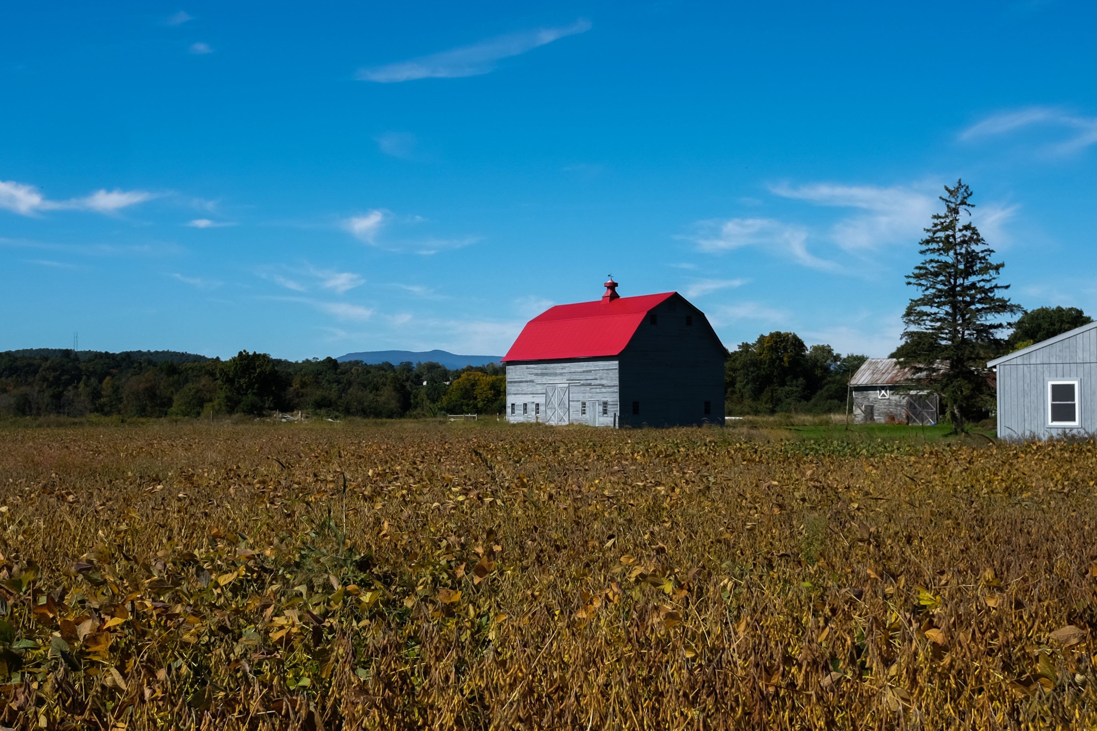 Hopper Barn