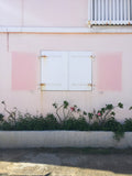 Pink Shutter