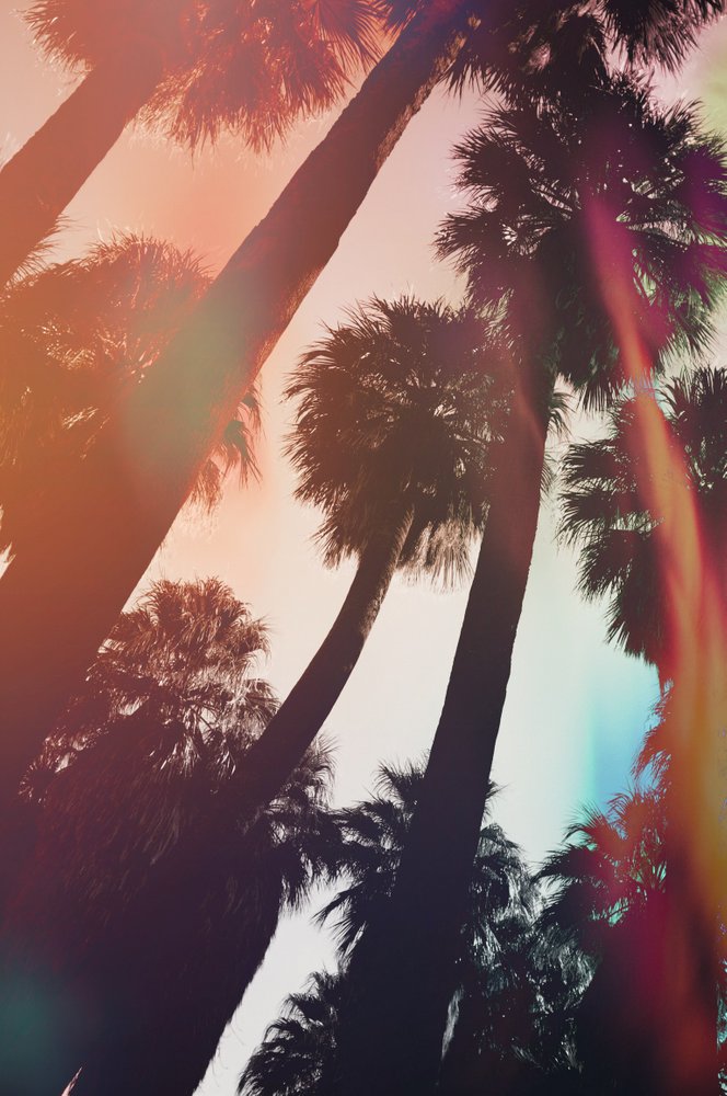 I 8> 80s, Palm Springs