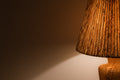 Lamp Shade
