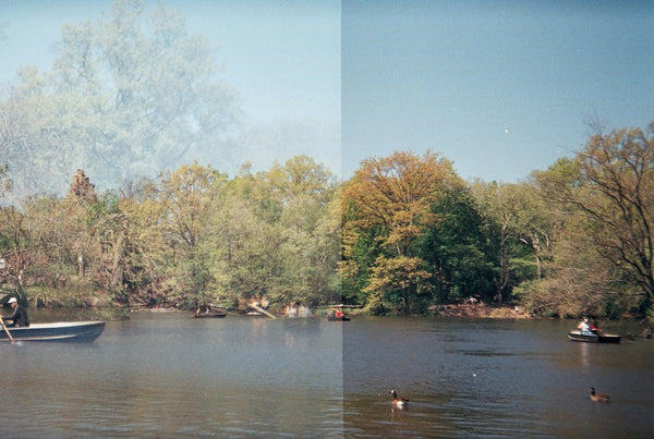 Central Park, Double Exposed Film