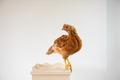 Rooster On A Pole