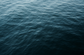 Bluer Motion