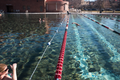 Hot Springs Swimmers