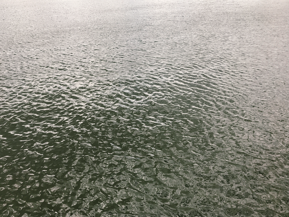 Grey Green Water