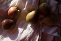Pear