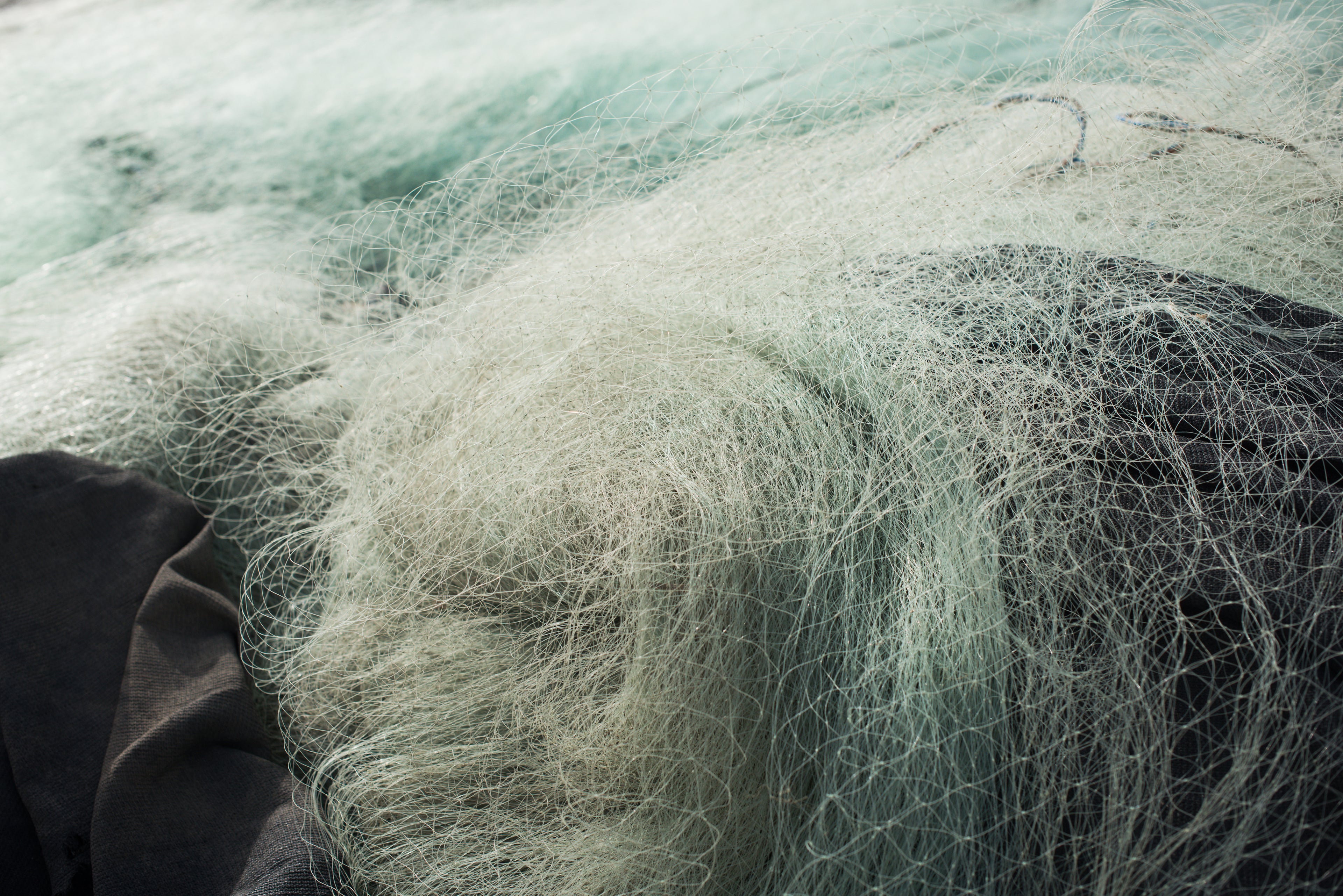 Swirl Net 1