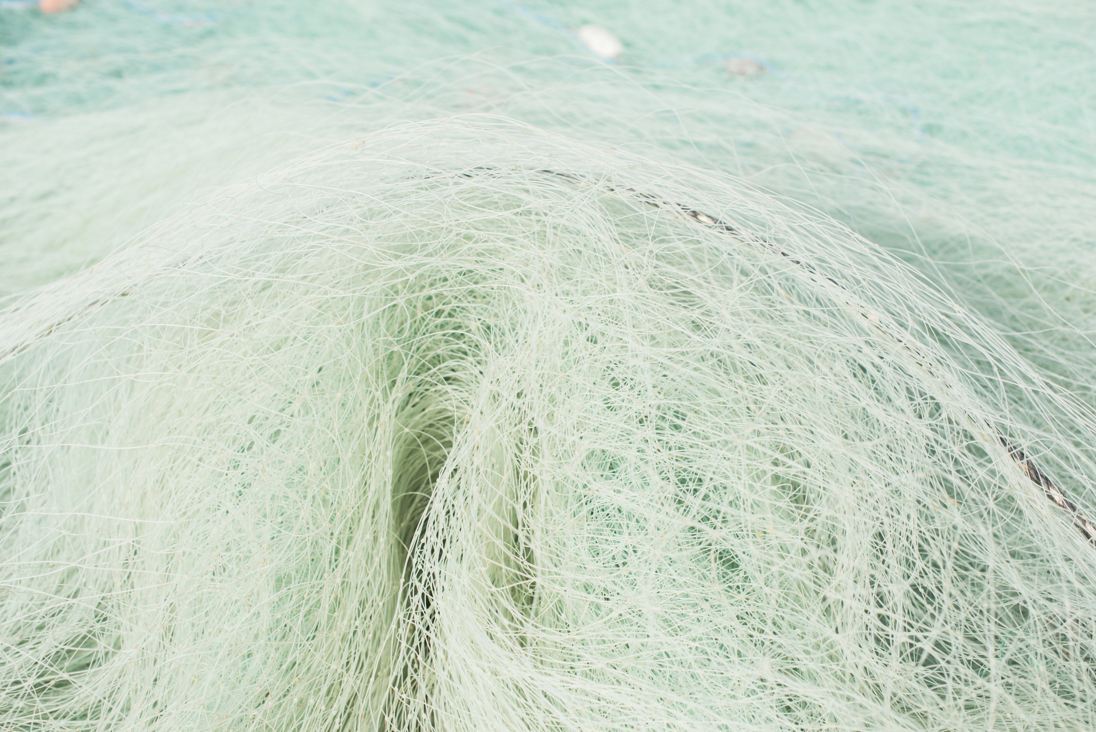 Swirl Net 2