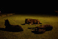 Tired Horses